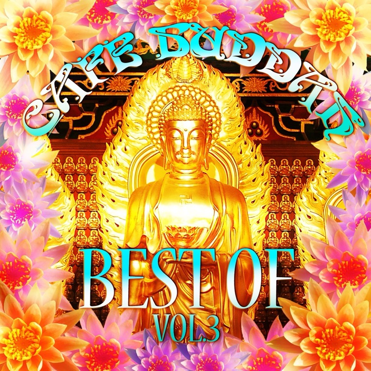 Cover von Café Buddah Best of, Vol. 3 (Beatism' Lounge & Chill Out Essentials)